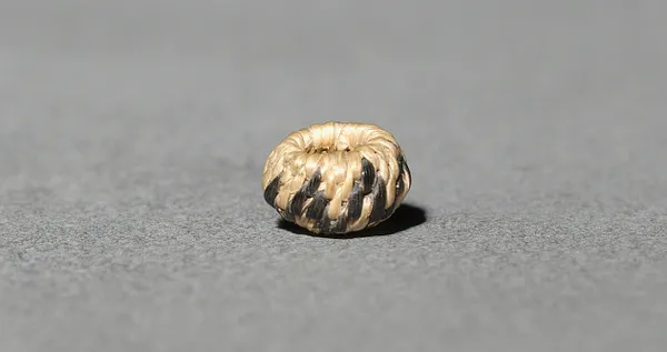 Miniature Round Basket