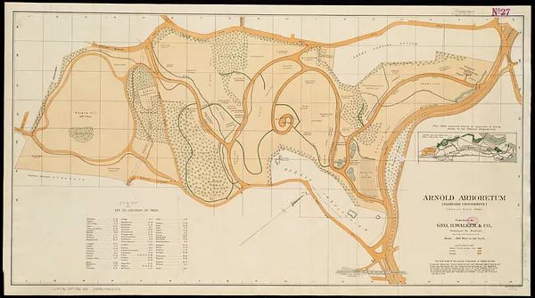 Map of Arnold Arboretum showing location of the trees and shrubs