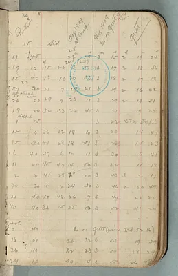 p. 7