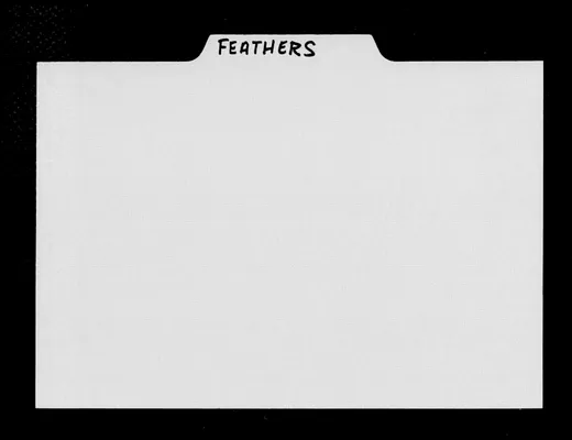 Page 1350