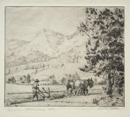 Ploughing - Burragorang, New South Wales, Australia