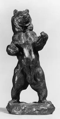 Bear Standing Upright