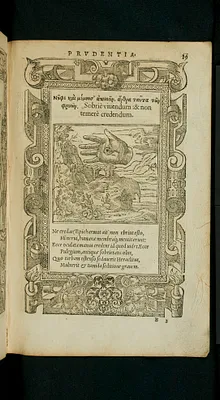 p. 5