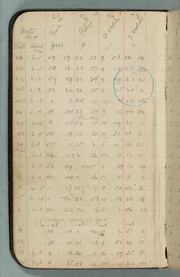 p. 4