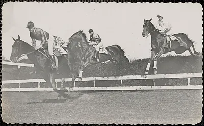 Horse race in acation [i.e. action]