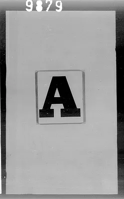 p. 4