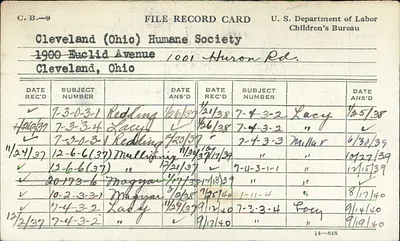 p. 45