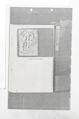 p. 7