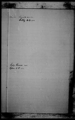 p. 15