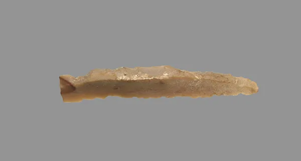 Sickle Blade