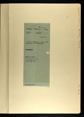 p. 41