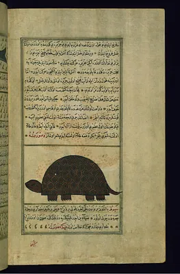 A Turtle
