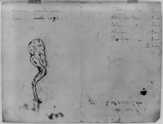 Study of a Snake
