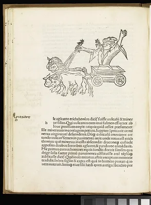p. 20