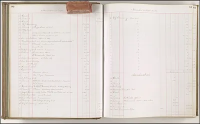 p. 43