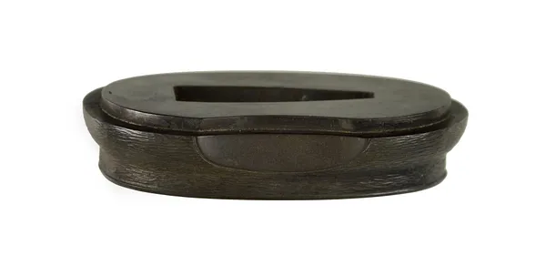 Fuchi with Cricket