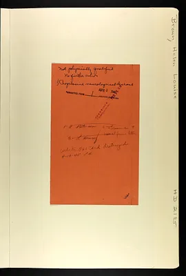 p. 8