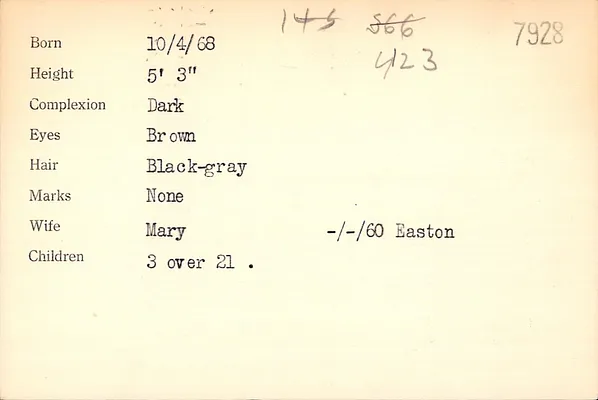 Page 291