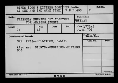 p. 20