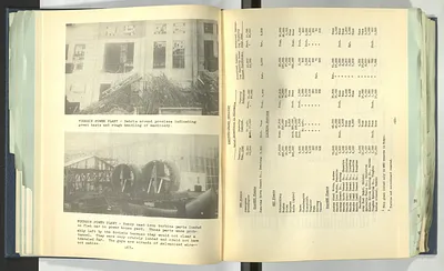 p. 53