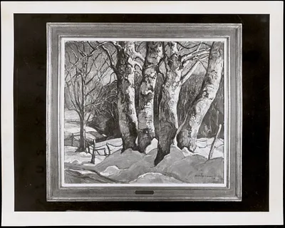 Birch trees by W. Lester Stevens, oil on canvas