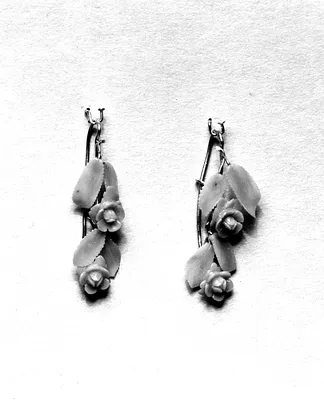Pair of Earrings with Roses