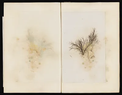 p. 46