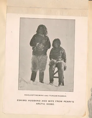 p. 43