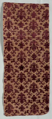 Velvet Fragment
