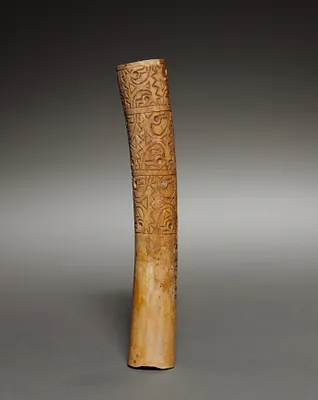 Ear Ornament