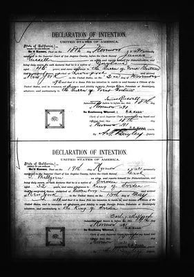 p. 15