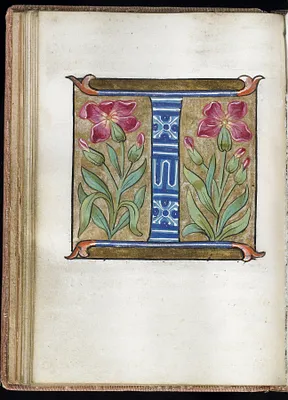 Leaf from Alphabet Book