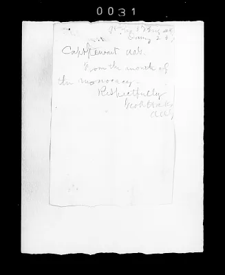 p. 42