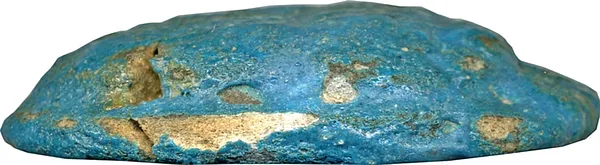 Winged Naturalistic Scarab