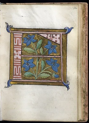 Leaf from Alphabet Book