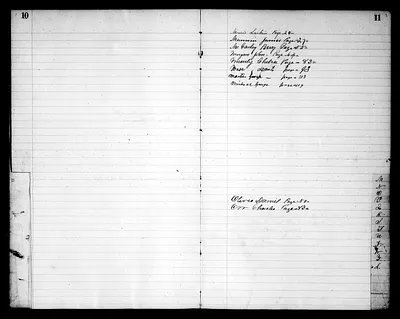 p. 8