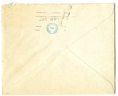 p. 5