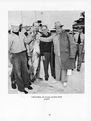 p. 27