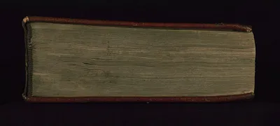 p. 8