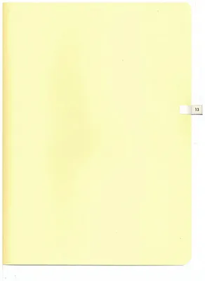 p. 49