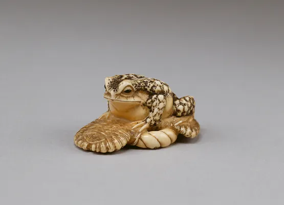 Toad Sitting on a Sandal