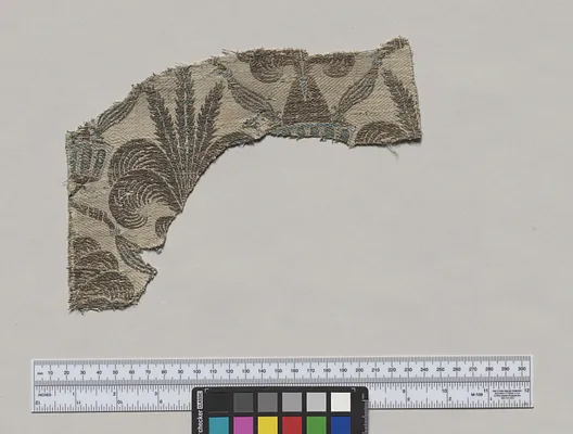 Silk Fragment