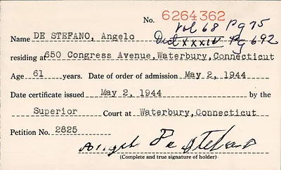 p. 29