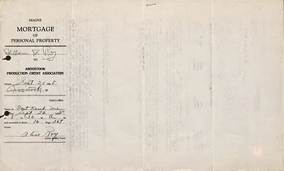 p. 7