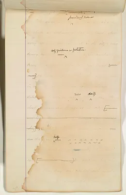 p. 36