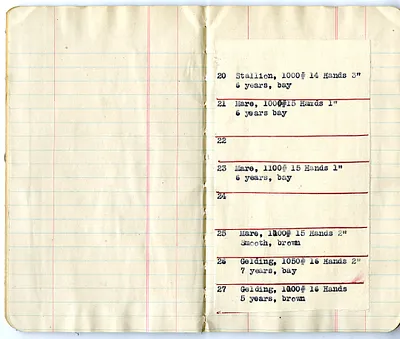 p. 4