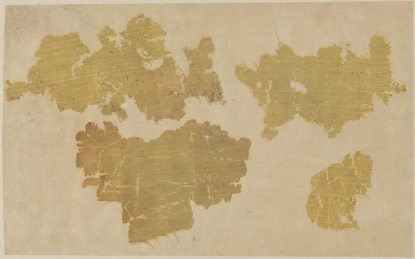 Several Fragments Mounted Together