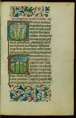 p. 11