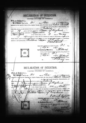 p. 29
