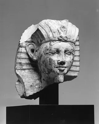 Head of a King